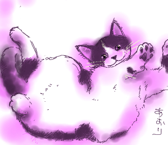 コメント203の画像