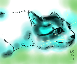 コメント209の画像