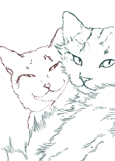 コメント215の画像