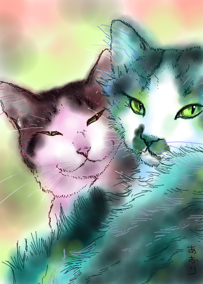 コメント216の画像