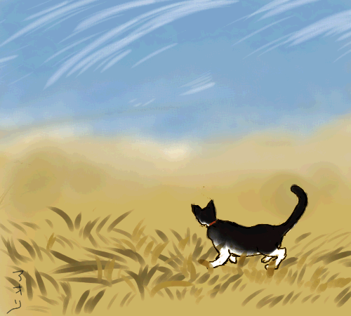 コメント220の画像