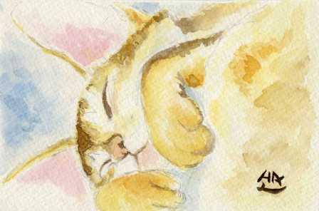 コメント235の画像