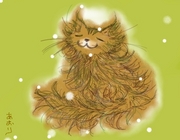 コメント242の画像