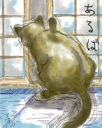 コメント246の画像