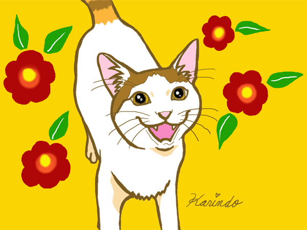 コメント248の画像