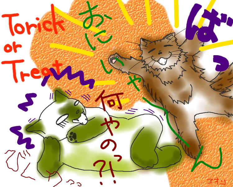 コメント254の画像