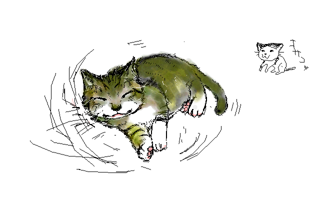 コメント257の画像