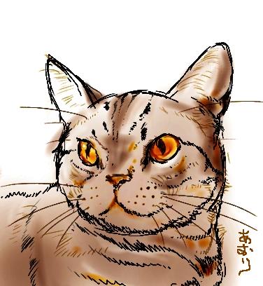 コメント269の画像