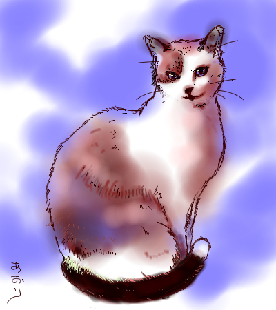 コメント278の画像