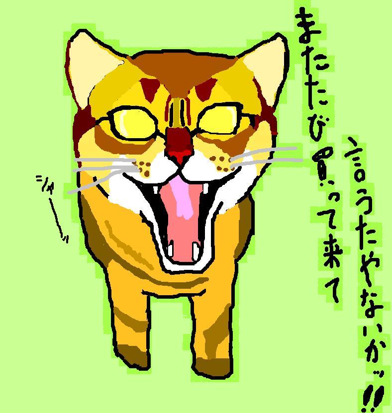 コメント285の画像