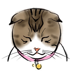 コメント288の画像