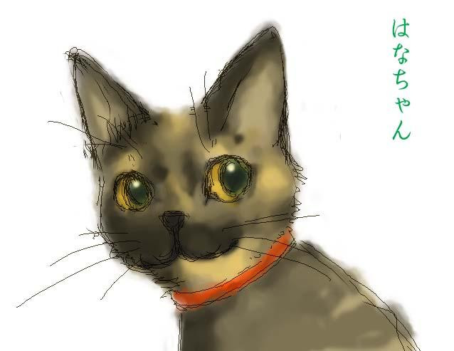 コメント100の画像