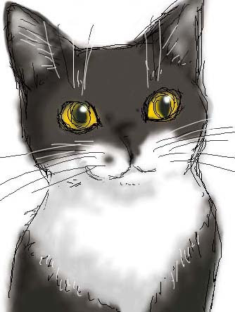 コメント104の画像