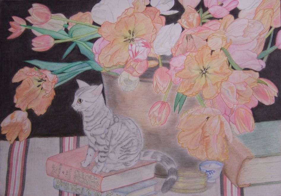 コメント310の画像