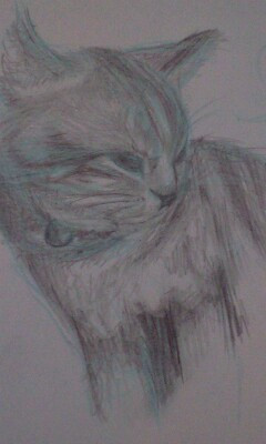 コメント298の画像