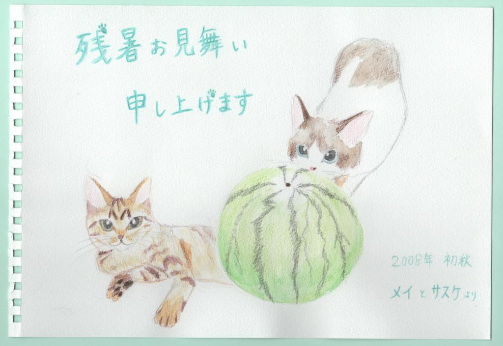 コメント293の画像