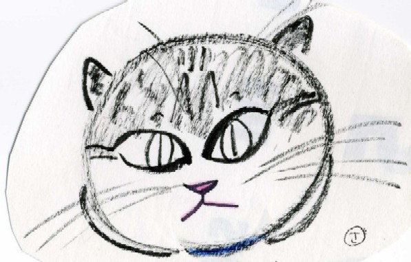 コメント28の画像