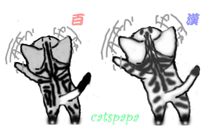 コメント301の画像