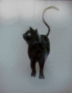 コメント306の画像