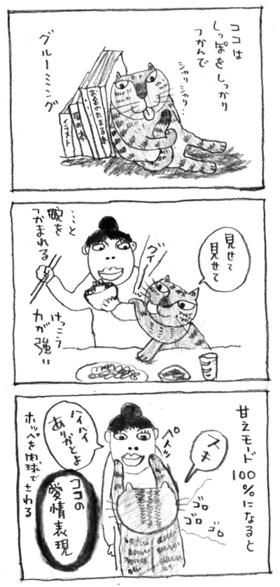 コメント312の画像