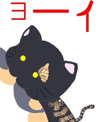 コメント314の画像