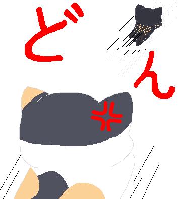 コメント315の画像