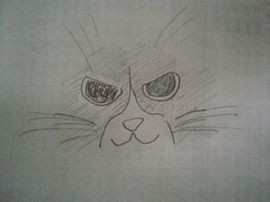 コメント213の画像