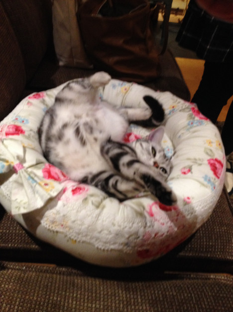 コメント25の画像