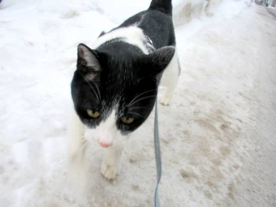 コメント15の画像