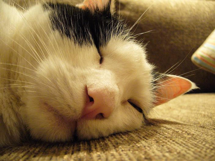 コメント197の画像