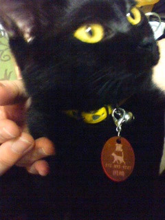 コメント120の画像