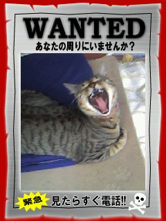 コメント122の画像