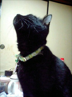 コメント128の画像