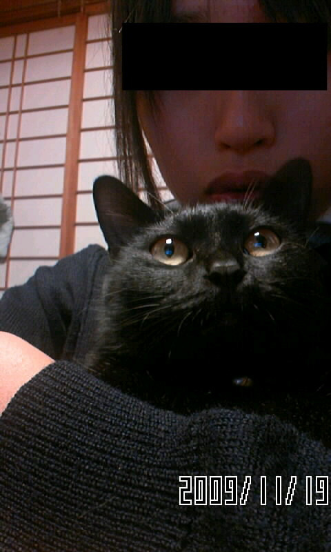 コメント186の画像