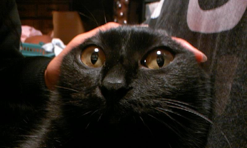 コメント191の画像