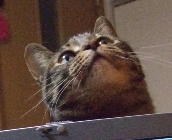 コメント101の画像