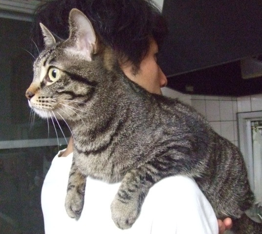 コメント127の画像