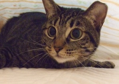 コメント185の画像