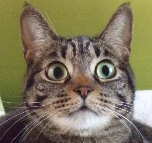 コメント192の画像