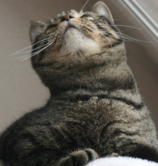 コメント196の画像