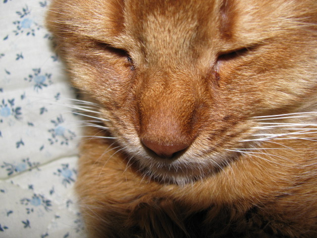 コメント43の画像