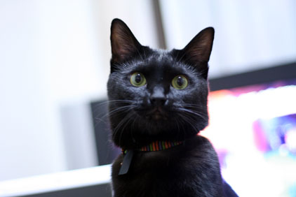 コメント42の画像