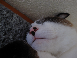 コメント104の画像