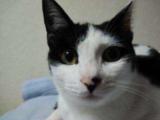 コメント131の画像