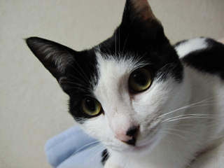 コメント138の画像