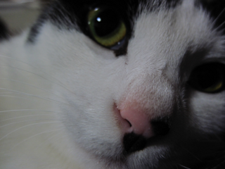 コメント142の画像