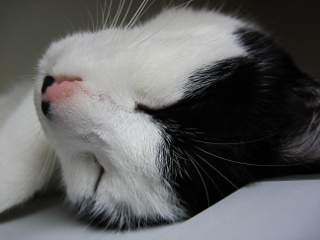 コメント144の画像