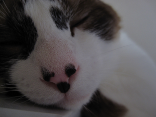 コメント149の画像