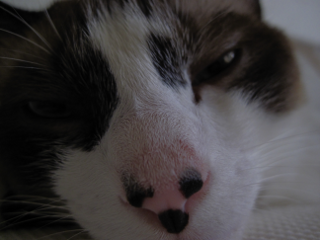 コメント156の画像