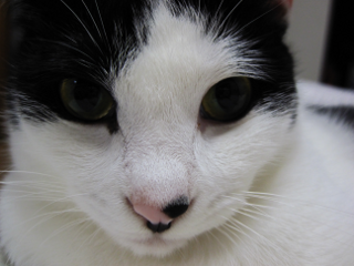 コメント163の画像